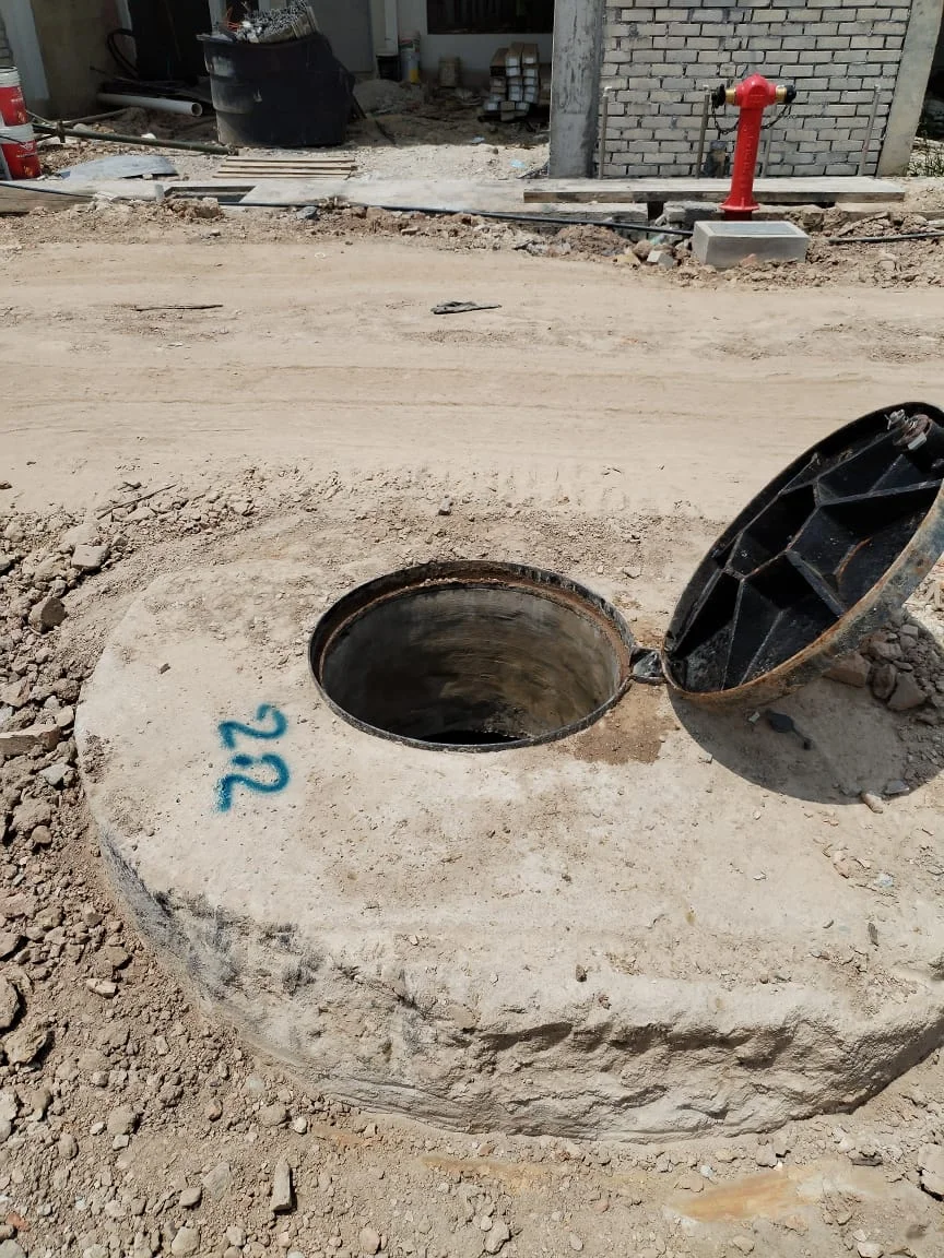 UMAP Activity - umap (50)